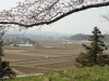img0011.jpg