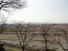 img0016.jpg