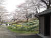 img0024.jpg