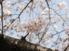 img0033.jpg