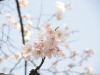 img0035.jpg