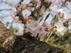 img0039.jpg