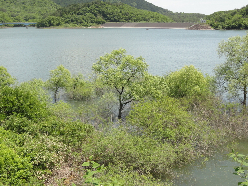 img0016.jpg