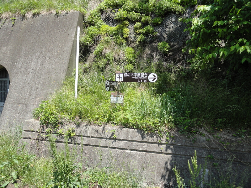 img0047.jpg