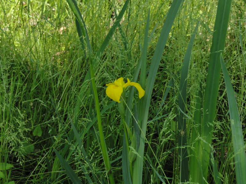 img0057.jpg