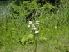img0006.jpg