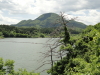 img0011.jpg