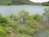 img0016.jpg