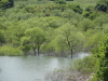 img0020.jpg