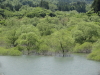img0021.jpg