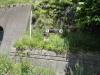 img0047.jpg