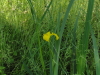 img0057.jpg
