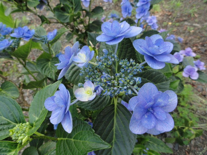 img0024.jpg