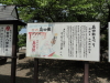 img0001.jpg