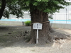 img0013.jpg