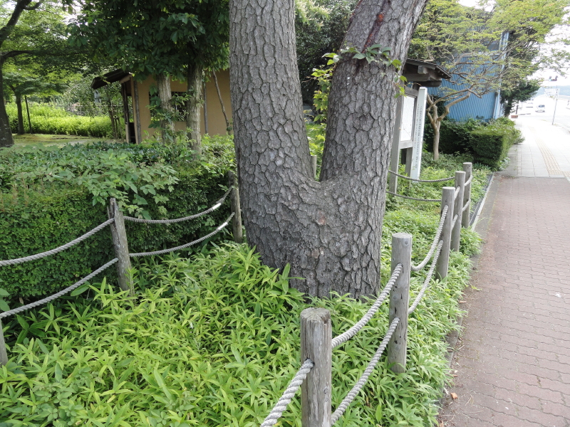 img0028.jpg