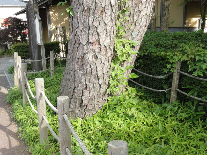 img0029.jpg