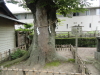 img0023.jpg
