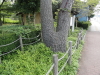 img0028.jpg