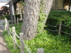 img0029.jpg