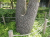 img0030.jpg