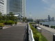 img0004.jpg