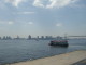 img0010.jpg