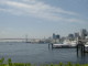 img0015.jpg