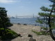 img0017.jpg