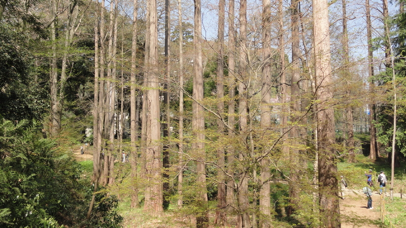 img0007.jpg