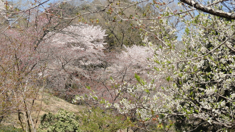img0011.jpg