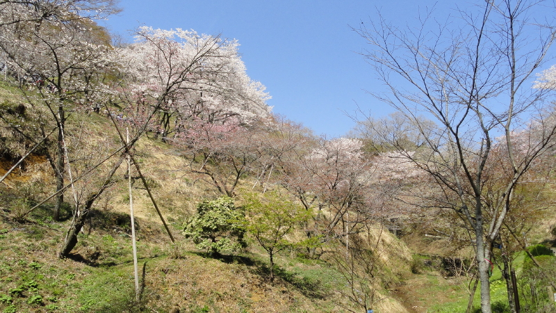 img0012.jpg