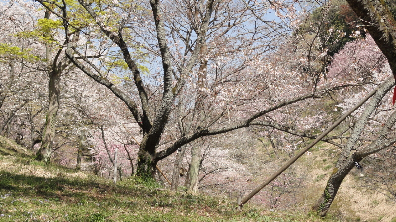 img0014.jpg