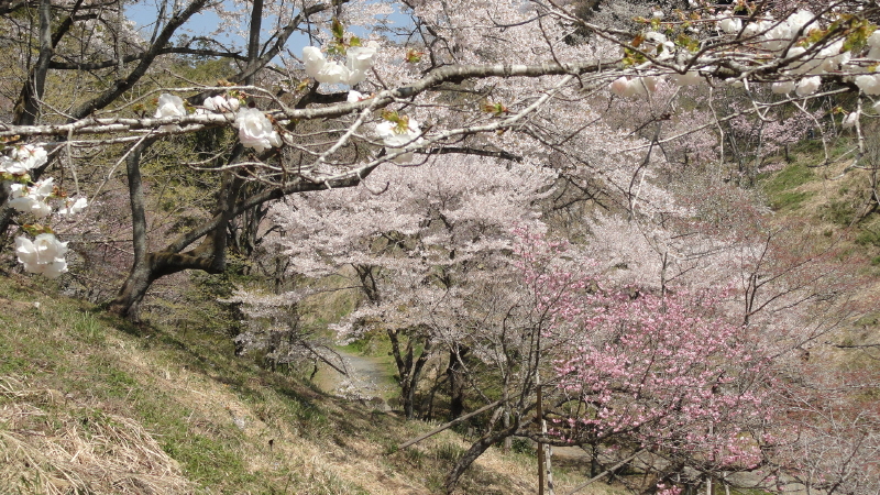 img0016.jpg