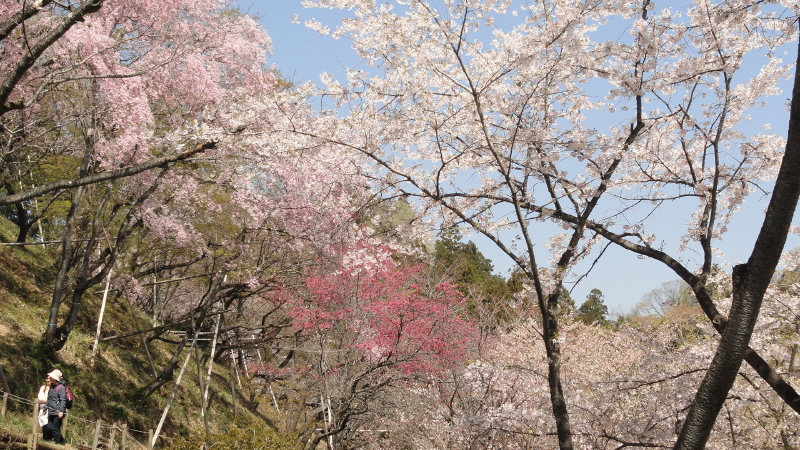 img0017.jpg