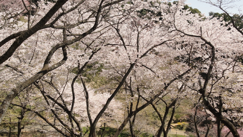 img0026.jpg
