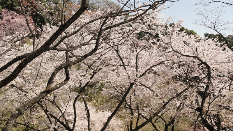 img0027.jpg