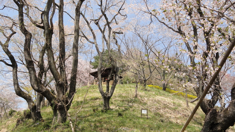 img0031.jpg