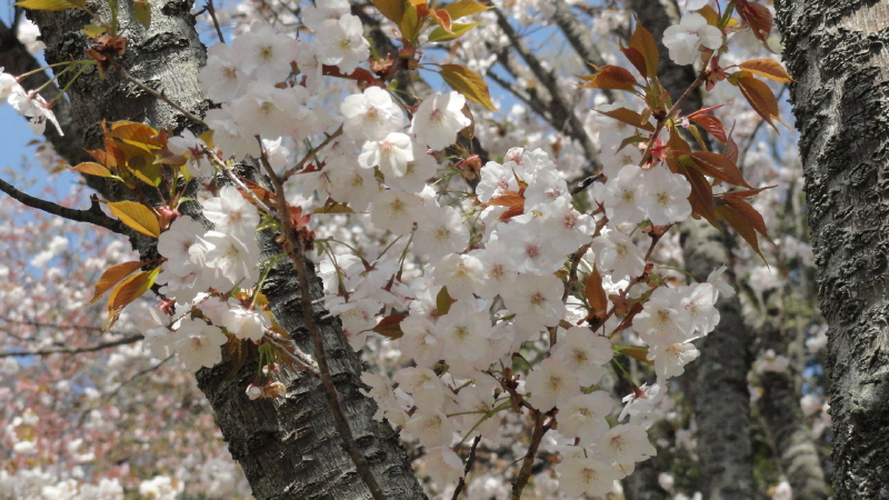 img0037.jpg