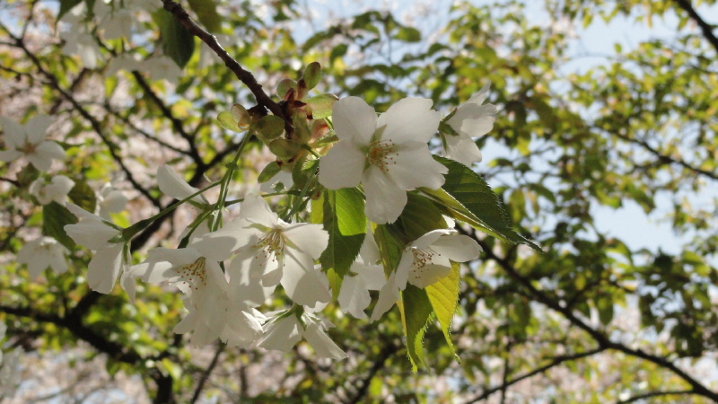img0040.jpg