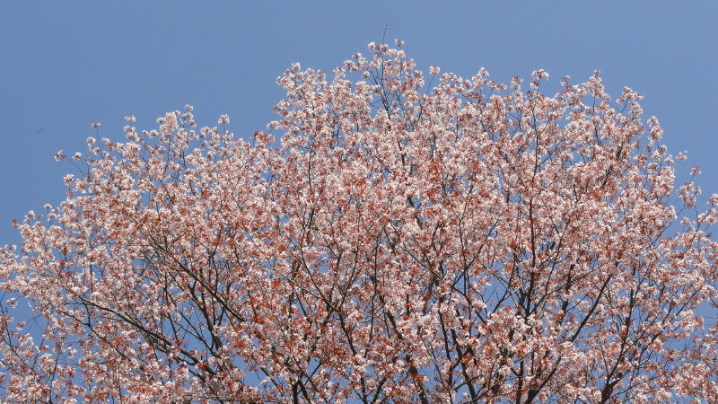 img0041.jpg