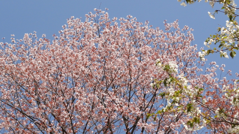 img0042.jpg