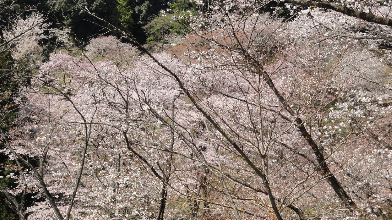 img0043.jpg