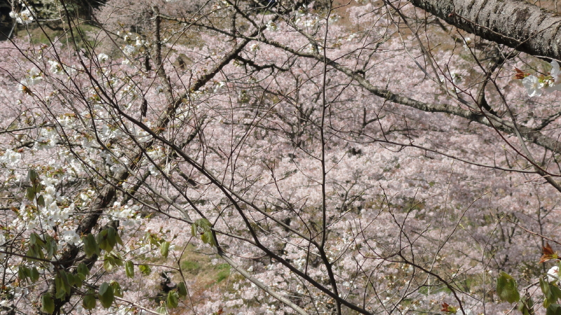 img0044.jpg