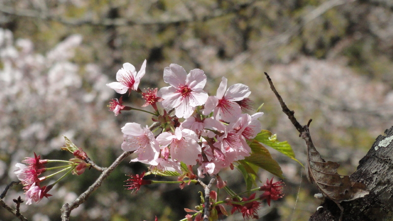 img0047.jpg