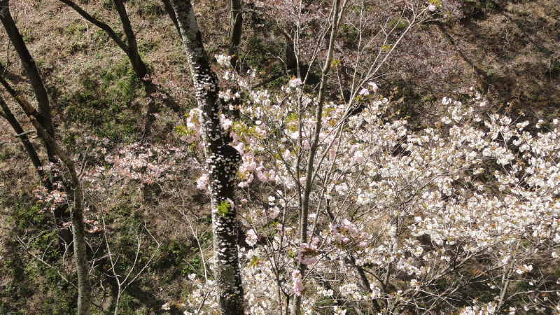 img0051.jpg