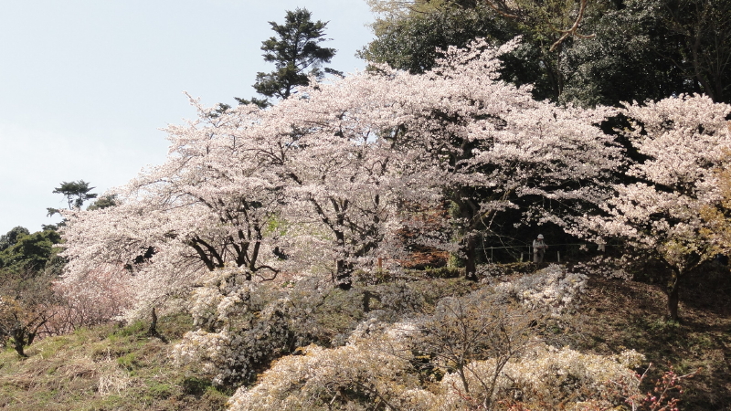 img0053.jpg