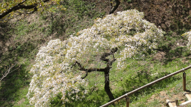 img0055.jpg