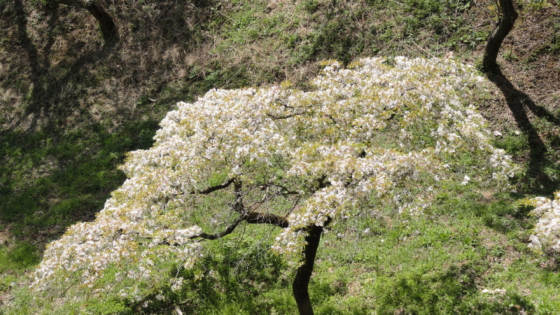 img0056.jpg
