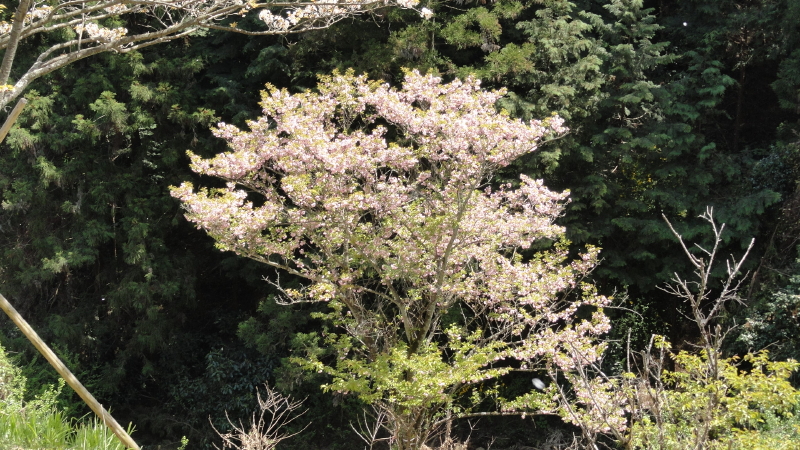 img0065.jpg